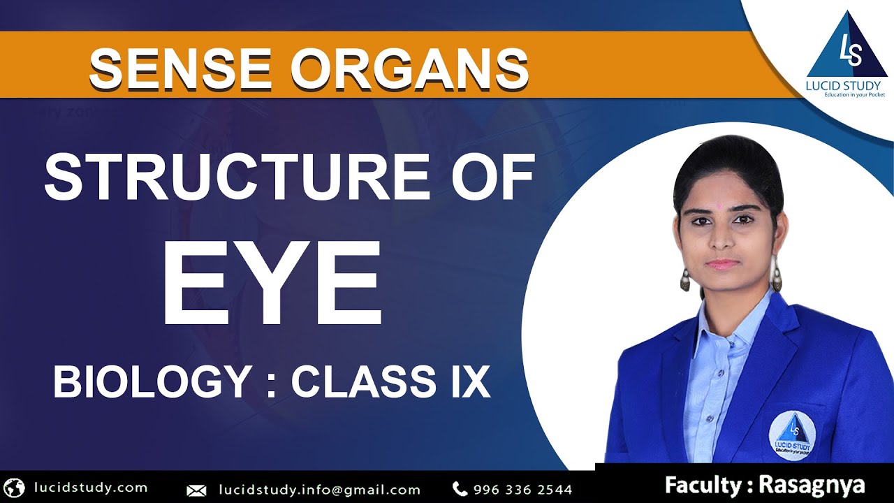 Structure of Eye |Class IX | Lucid Study | Best Online Education App