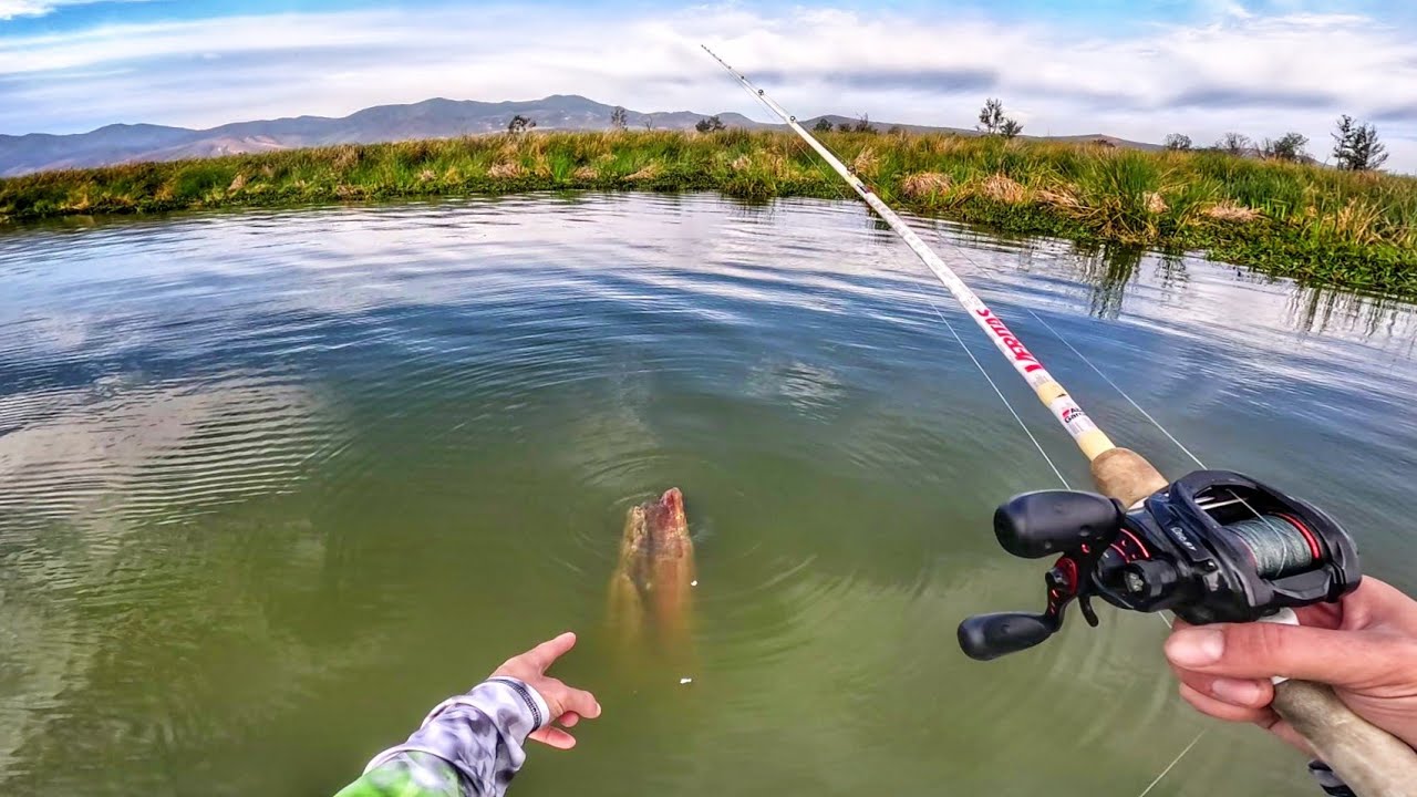 ENCONTRÉ Algo SORPRENDENTE en esta PESCA!