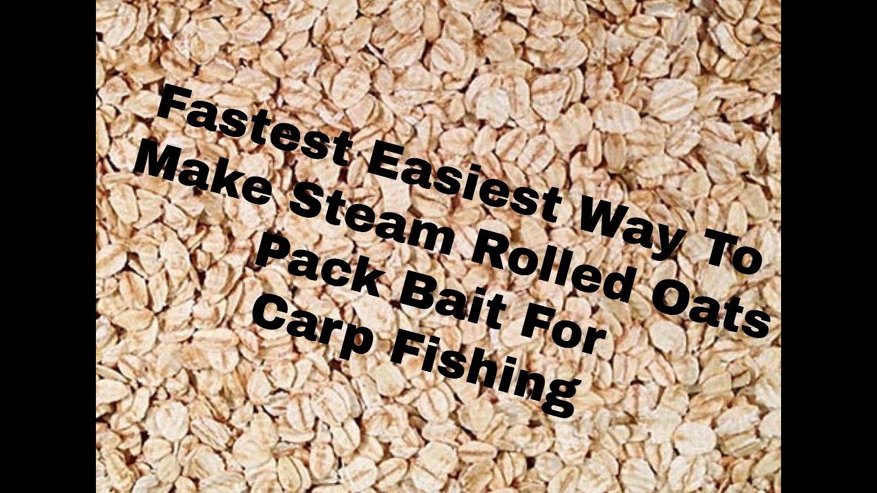 Forever Oats using syrup & steam rolled oats along with old fashioned oats mix carp pack bait
