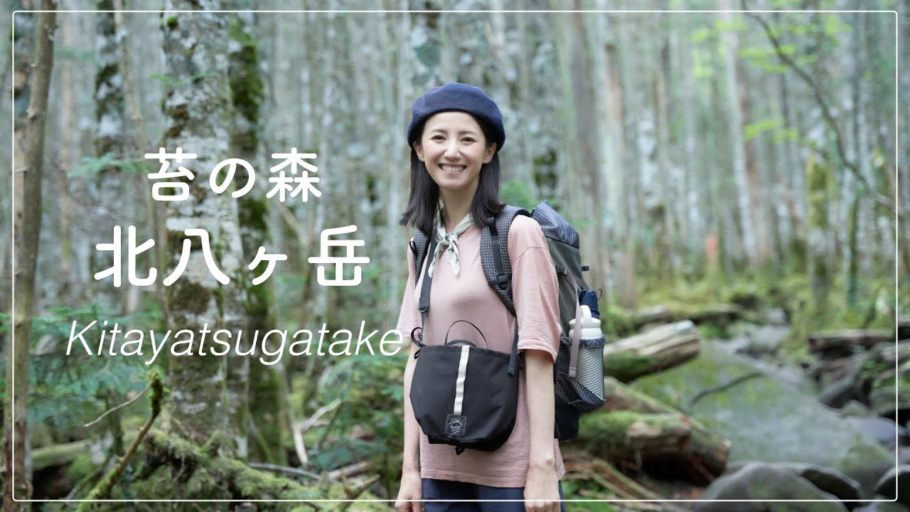 【北八ヶ岳】雨でも楽しめる美しい苔の森＆何度でも泊まりたい高見石小屋【小屋泊】