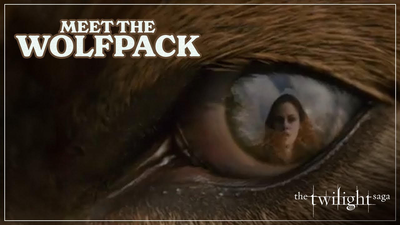 Featurette: Meet the Wolfpack | The Twilight Saga