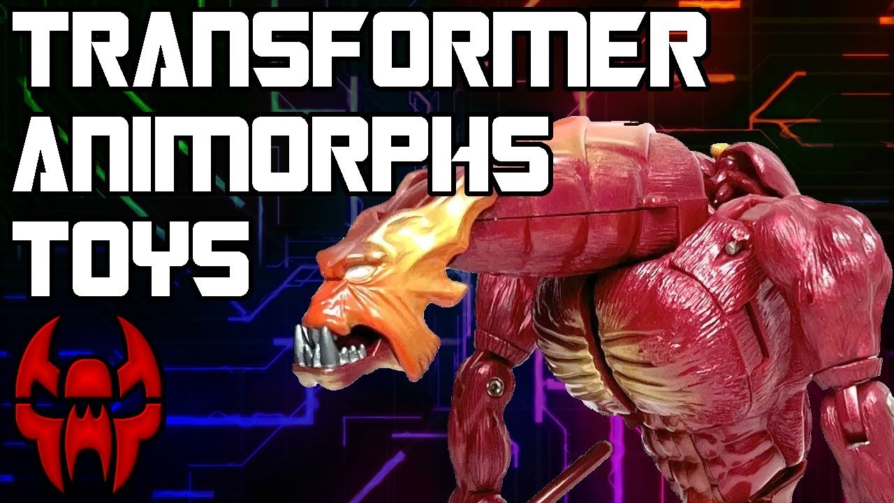 Looking Back At Animorphs Transformers