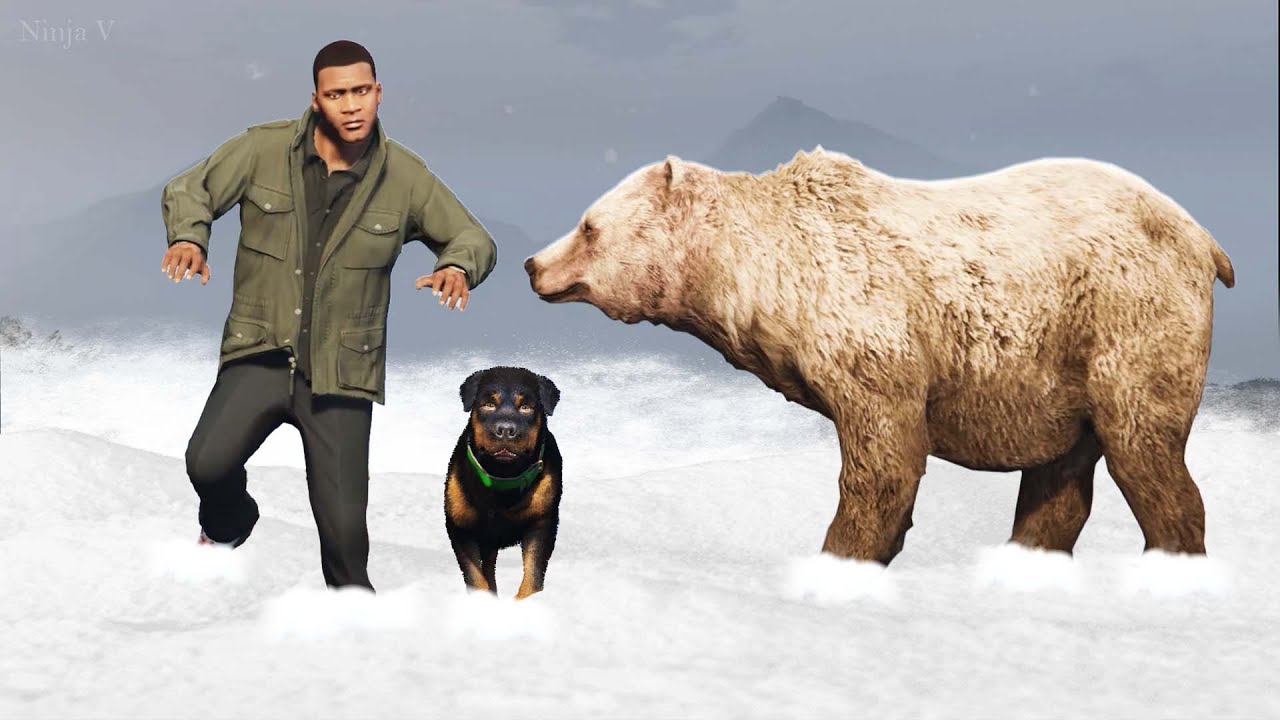 GTA V - Franklin and Chop Survives HEAVY STORM