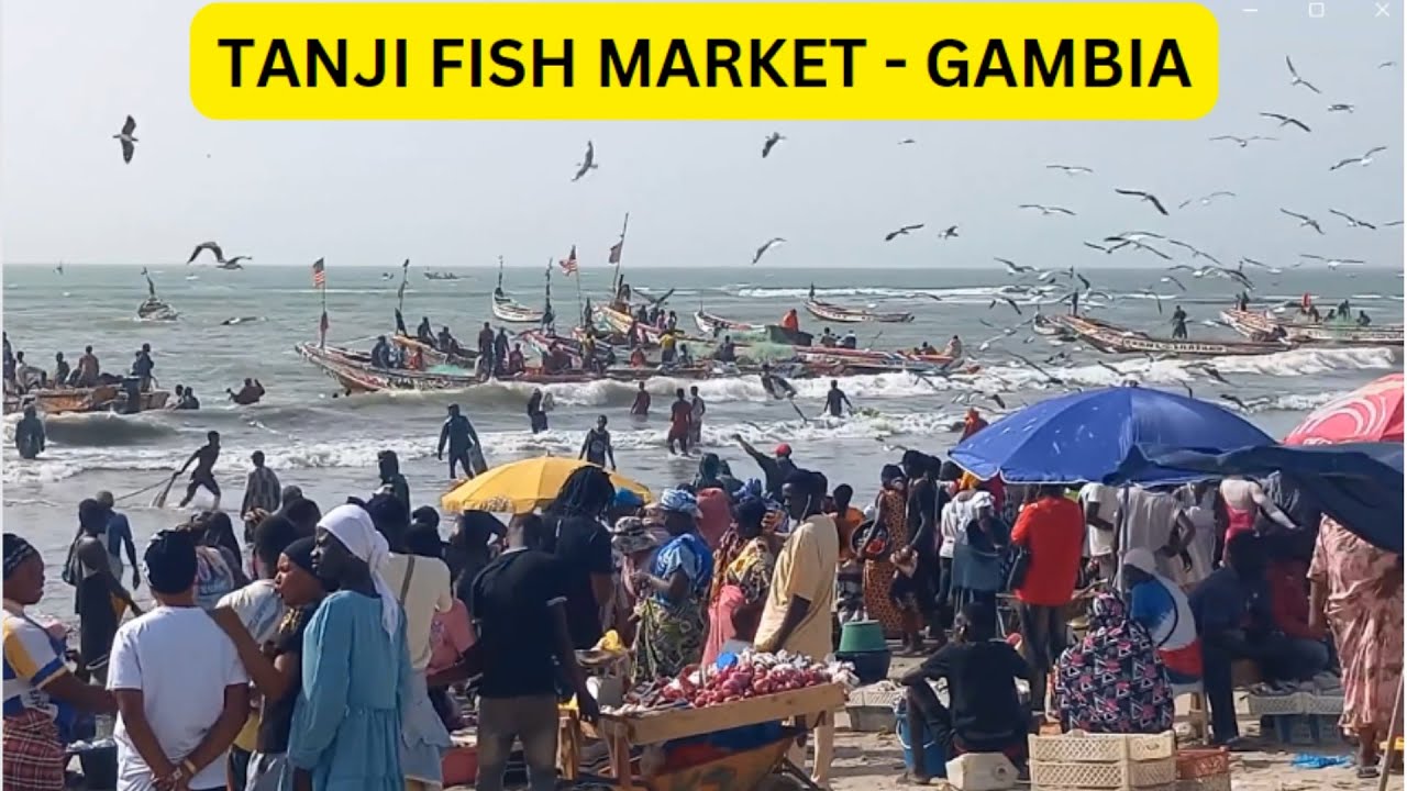 TANJI FISH MARKET  |  GAMBIA - 10 | BINU