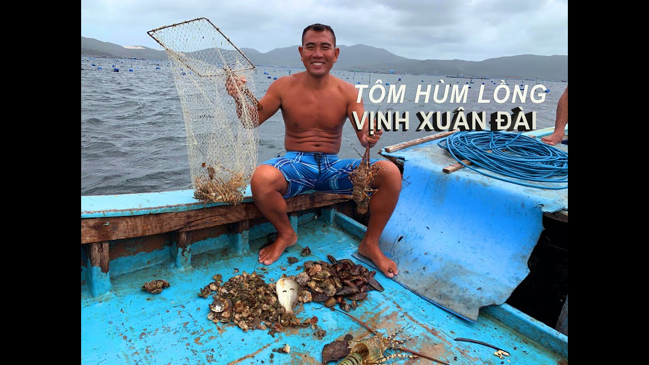Thăm lồng tôm hùm vịnh Xuân Đài, Sông Cầu, Phú Yên - Lobster cages at Xuan Dai gulf.