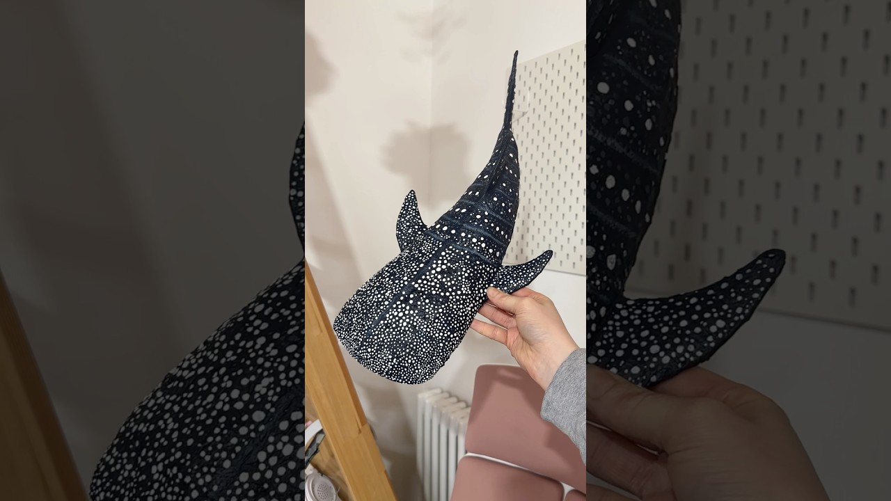 diy cardboard whale shark decor 🐋