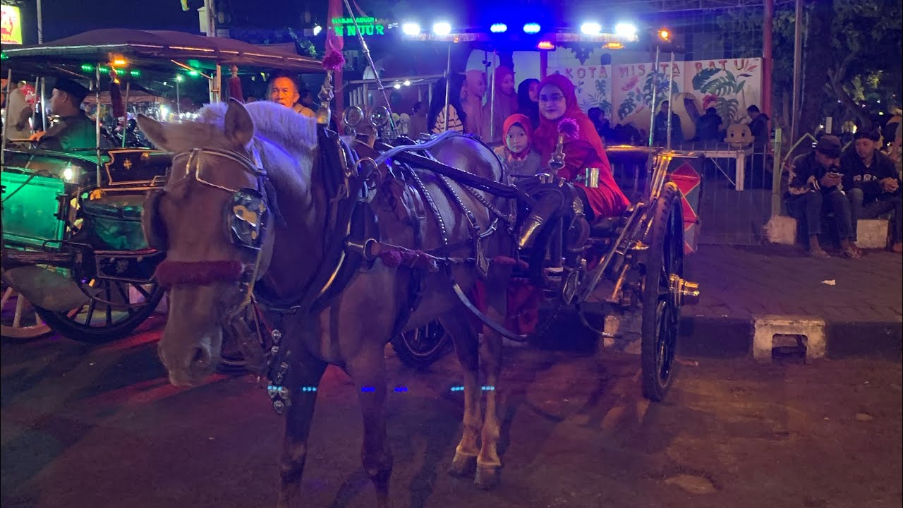 Jauh jauh ke alun-alun Batu cuma pengen naik delman