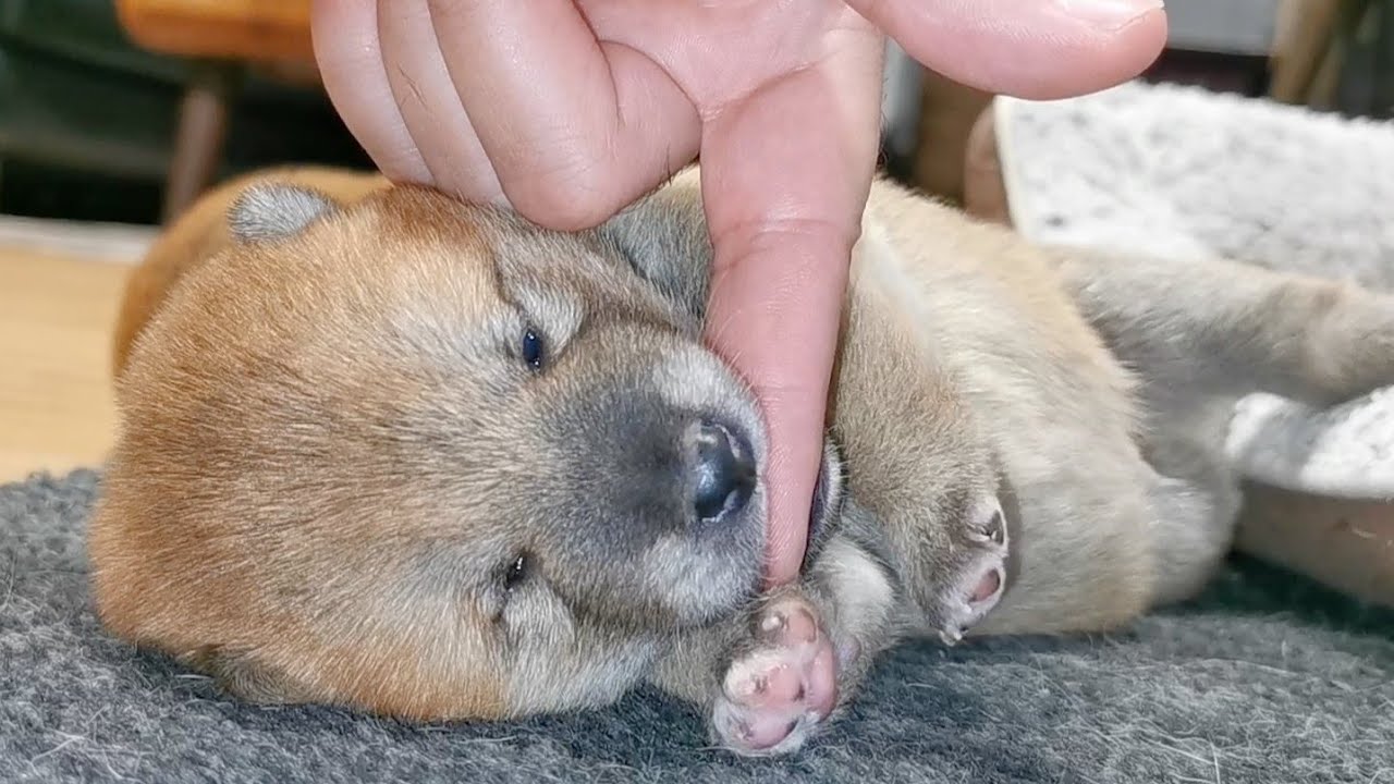 Eyes Are Open!
