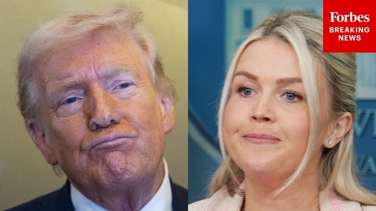 Karoline Leavitt Slams Dems' 'Vicious Hatred For President Trump,' Rips Them For Opposing Iran War