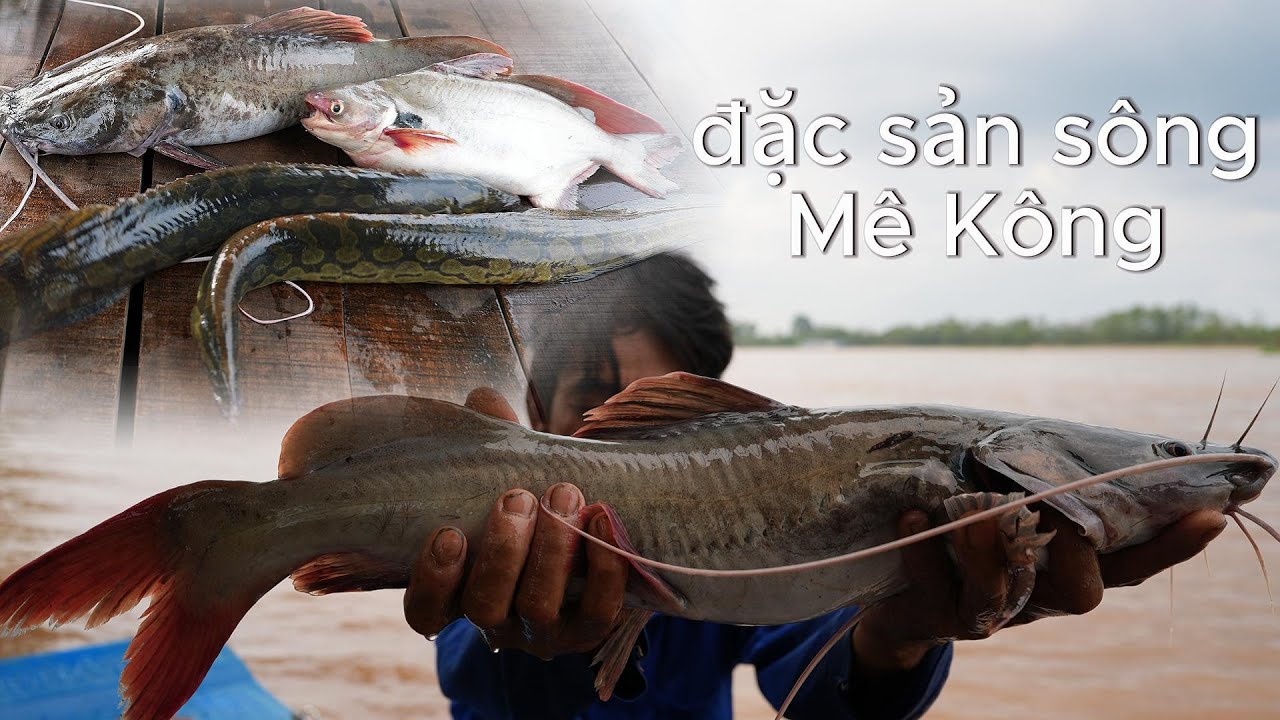 Trúng mánh toàn 