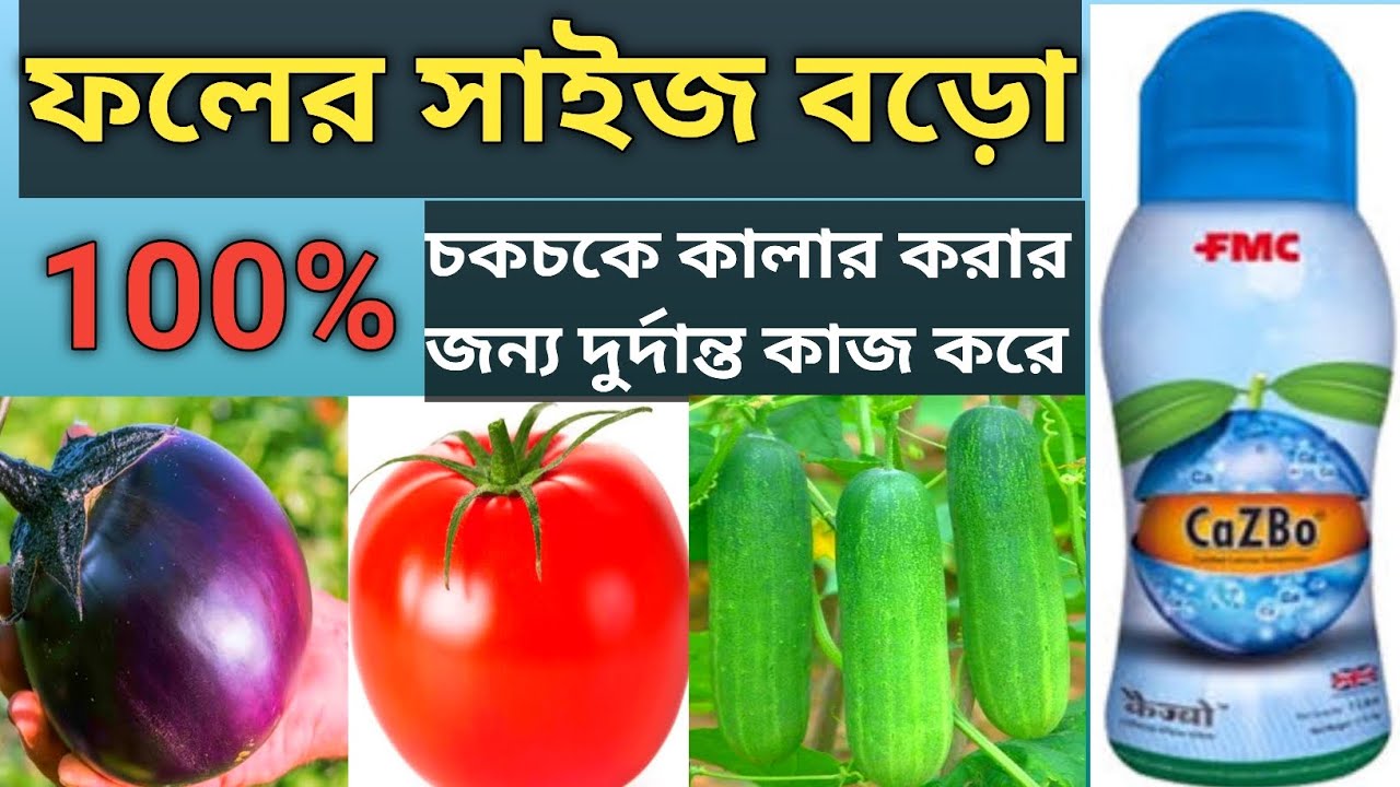 সব ফসলের ফলের সাইজ বড়ো,চকচকে কালার করার জন্য এফএমসি CaZBo দুর্দান্ত কাজ করে 💯❤️❤️