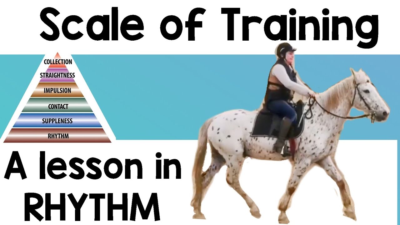 THE SCALE OF TRAINING - RHYTHM (FULL HORSE RIDING LESSON)