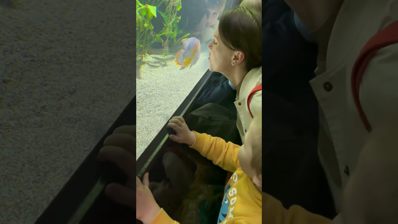 Karlsruher Zoo Wildfische