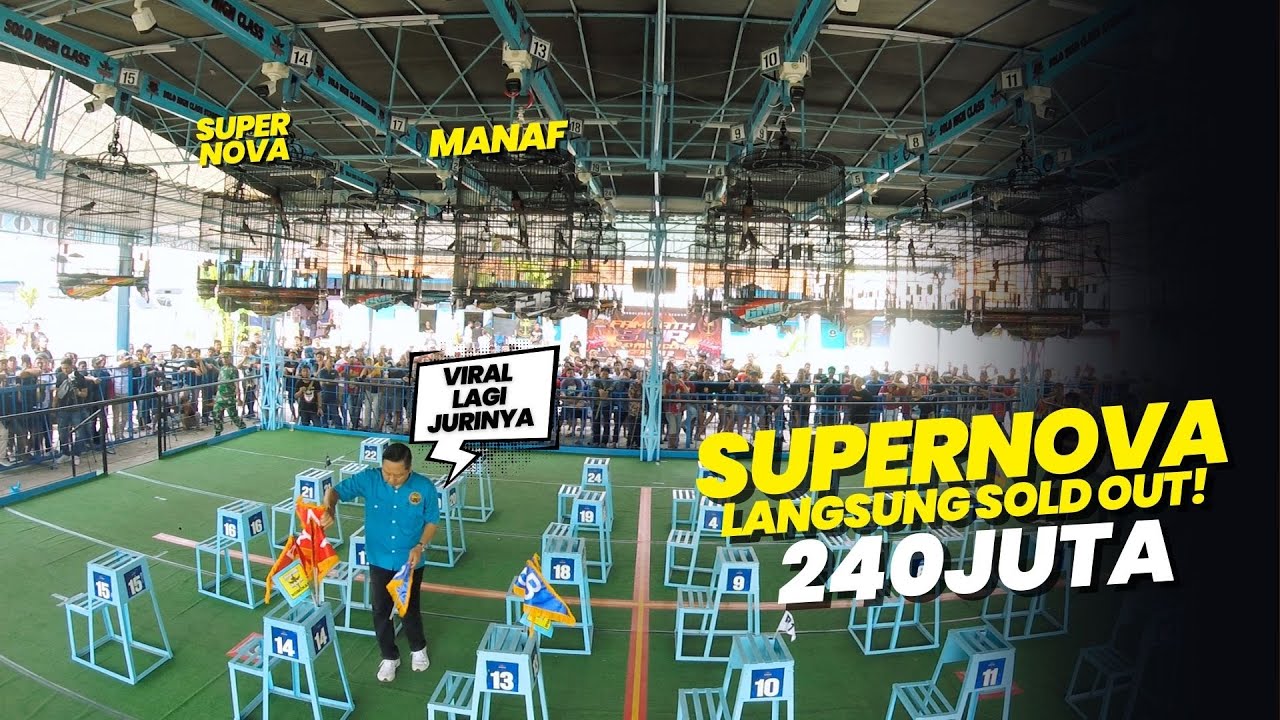 Cek VAR‼️ Murai SUPERNOVA Mengejutkan Famgath SMR Session 2 di SOLO HIGHCLASS☝#videoburung