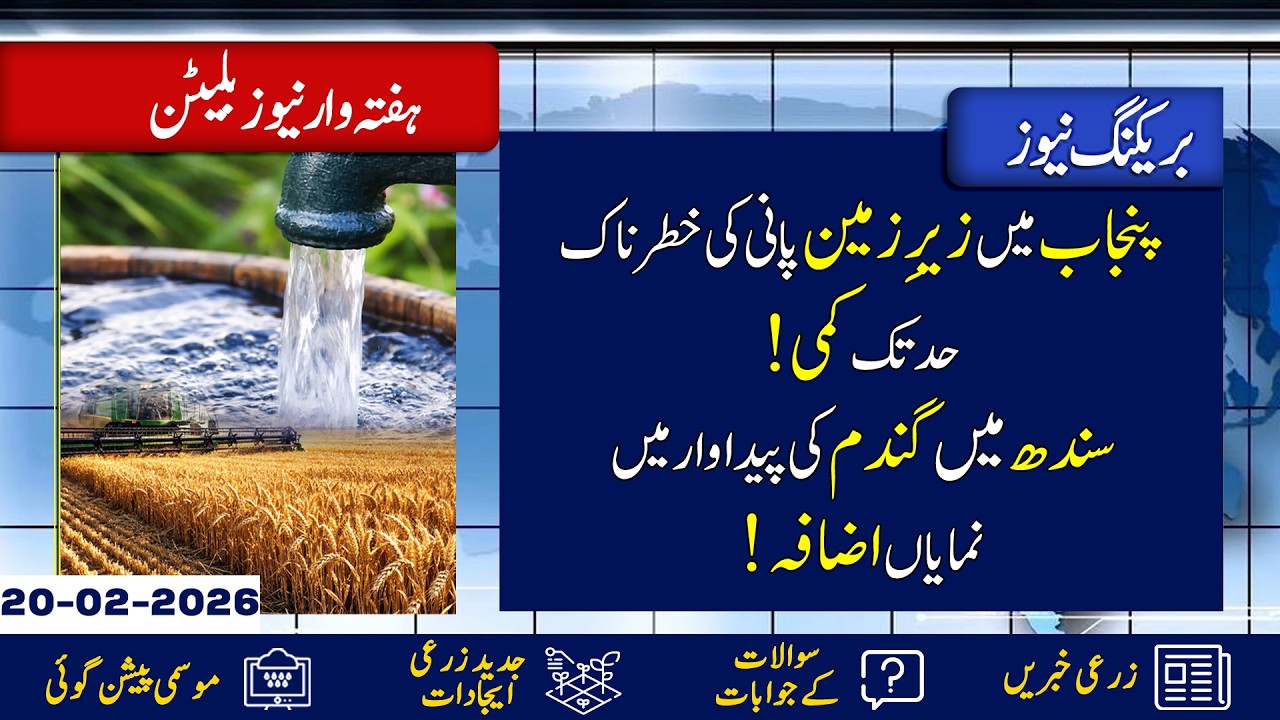 Low Water Level in Punjab! | Pak Turkey Agri MoU Signed | Weekly News Bulletin 13 Feb - 20 Feb