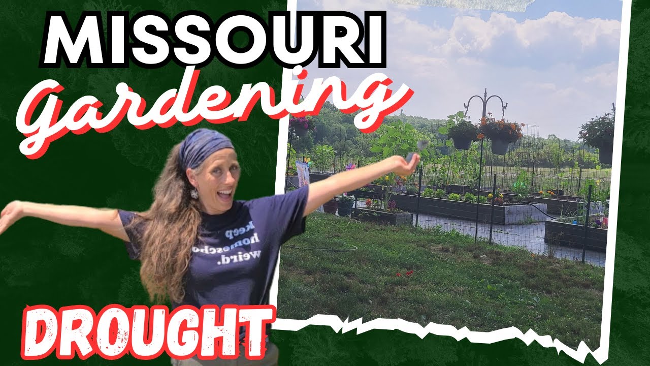 Garden Tour MISSOURI - 6A | Gardening During a Drought