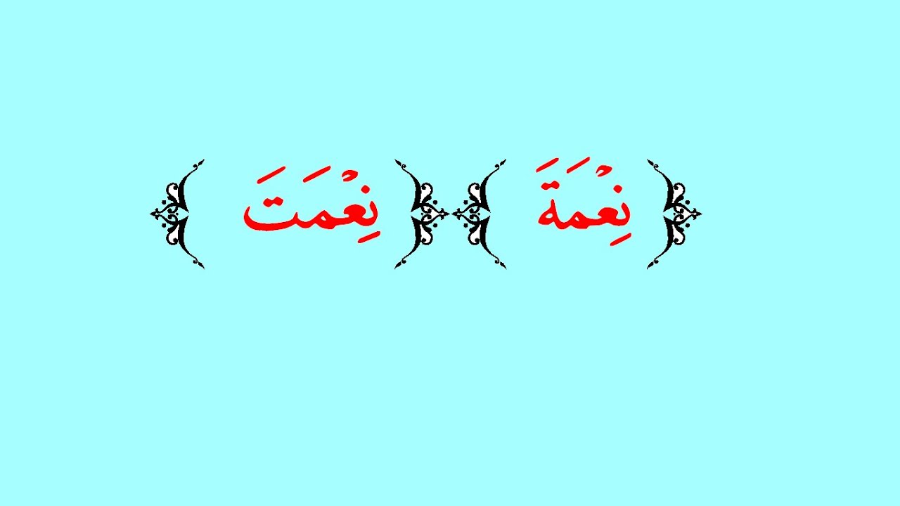 الحلقة 31 نعمة و نعمت
