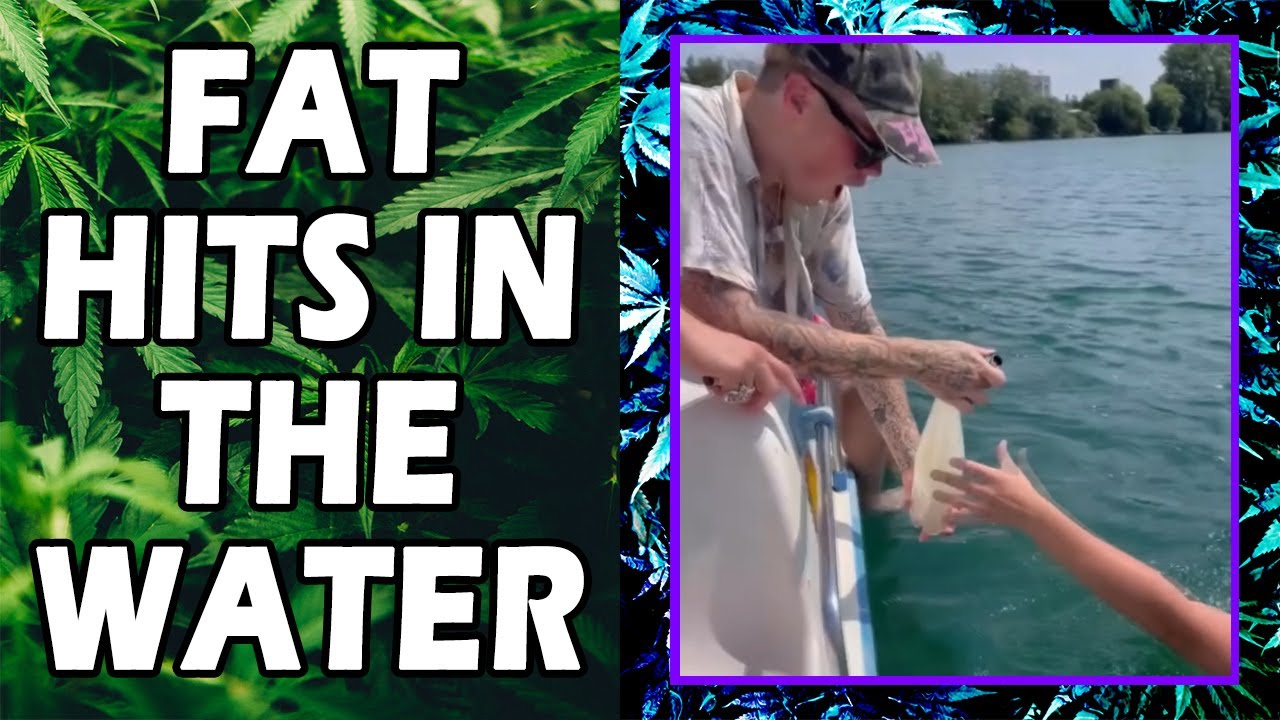 WEED MEMES & Fail Compilation [#232] - Fatally Stoned