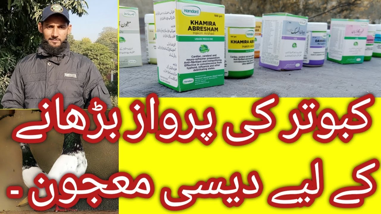 Kabootar ki Parwaz barhany KY Liya Desi parwazi MA'JUNI Nuskha ||SALEEM PIGEON LIFE STYLE|| Parwazi.