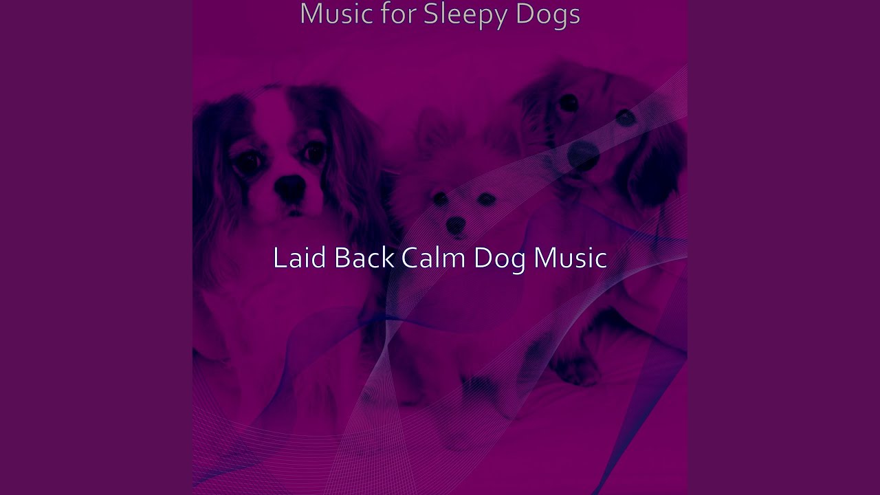 Retro Calming Dogs