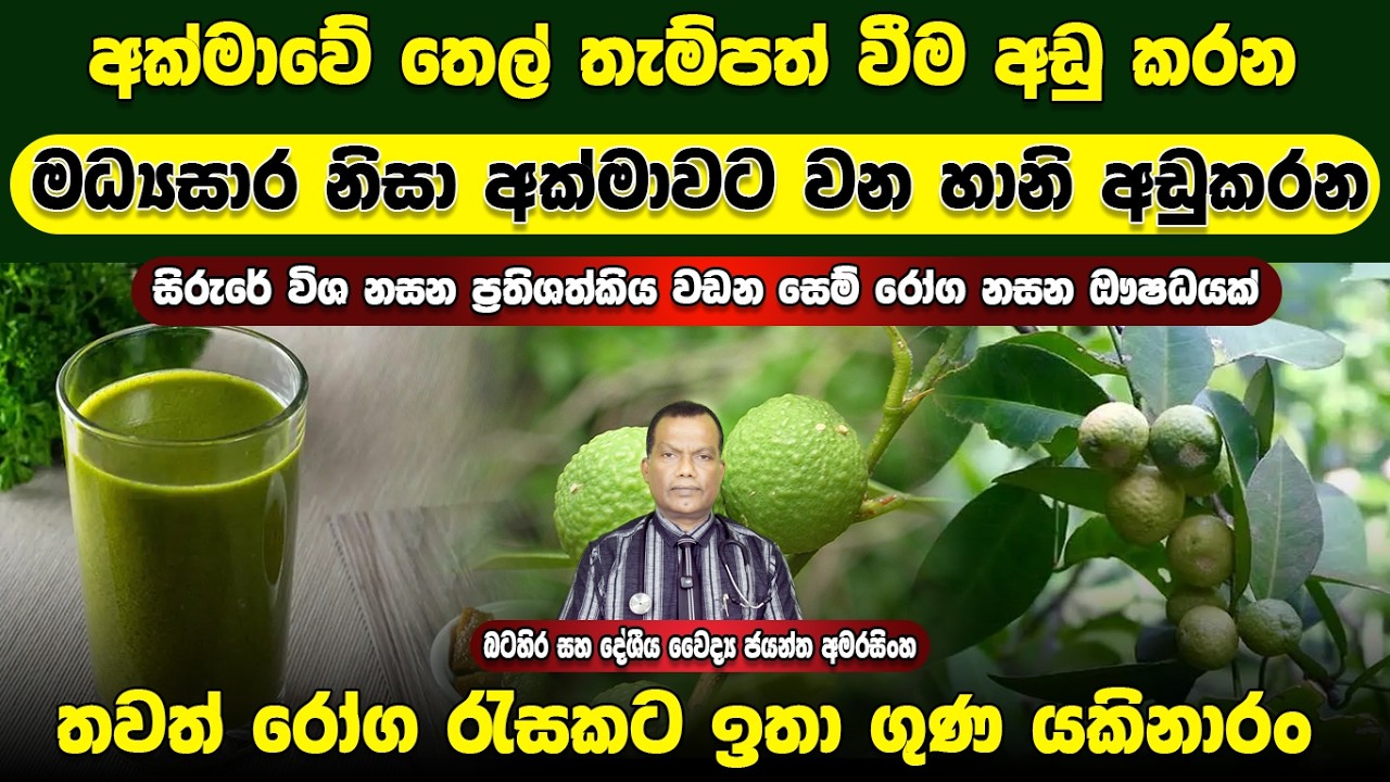 අක්මාවේ තෙල් තැම්පත් වීම අඩුකරන, මධ්‍යසාර නිසා අක්මාවට වන හානි අඩු කරන තවත් රෝග රැසකට ගුණ යකිනාරං