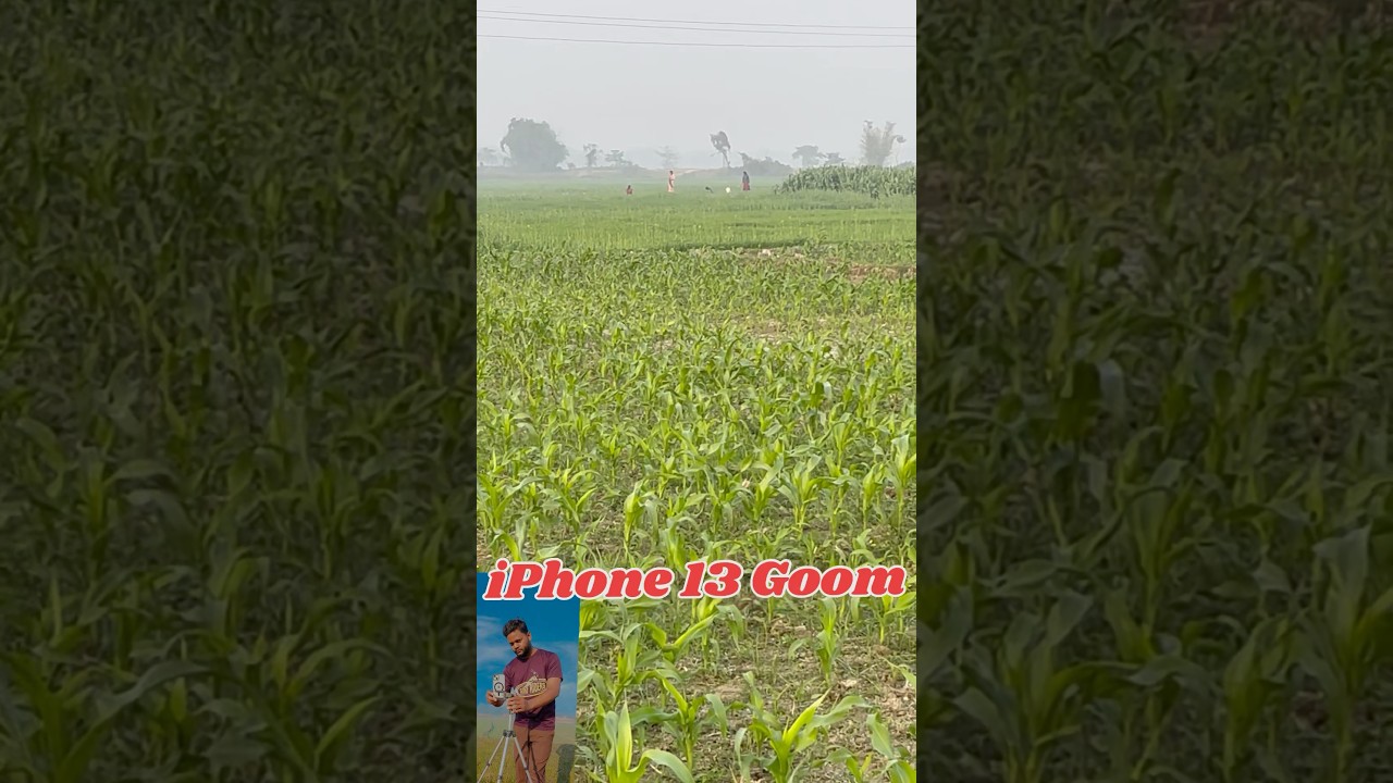 IPhone 13 Gooing Video #iphone #iphone13 #gooming #shorts #video #viralshorts #apple