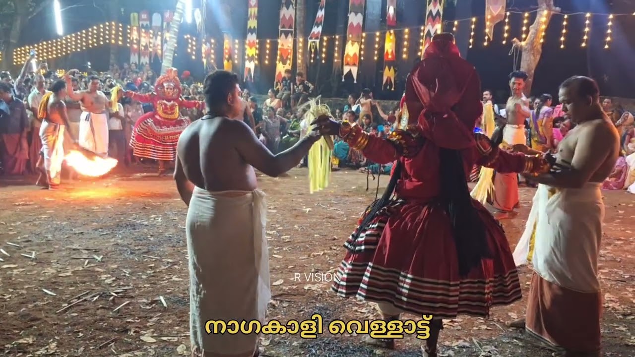 നാഗകാളി വെള്ളാട്ടും ചൂട്ടു കളിയും ചാത്തമംഗലം പാലപ്ര കരിയാത്തൻ പരദേവത കാവ്