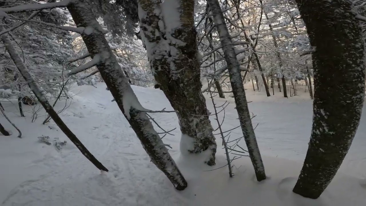 Okemo Glades February 2026