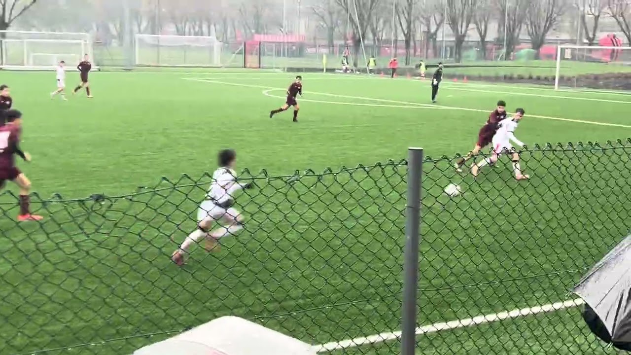 Milan Dolo