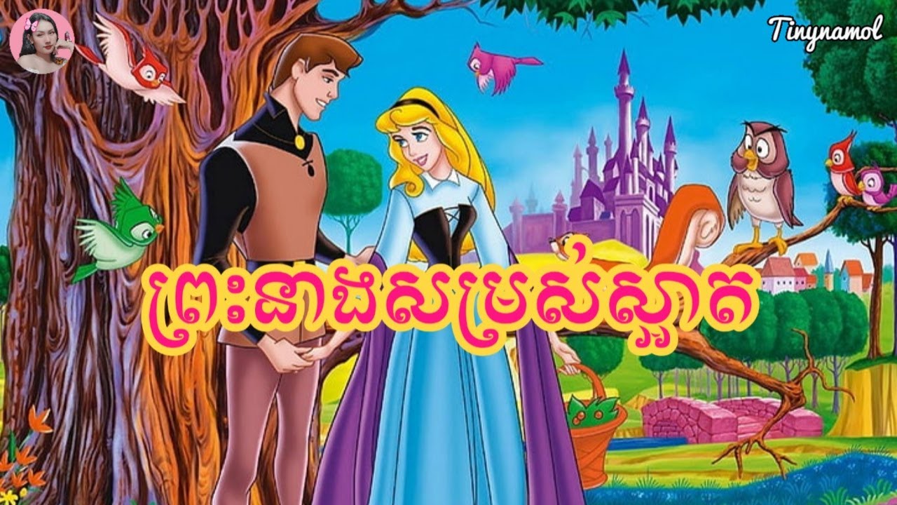 ព្រះនាងសម្រស់ស្អាត​ | Sleeping beauty 1959 | សម្រាយរឿង | Tinynamol