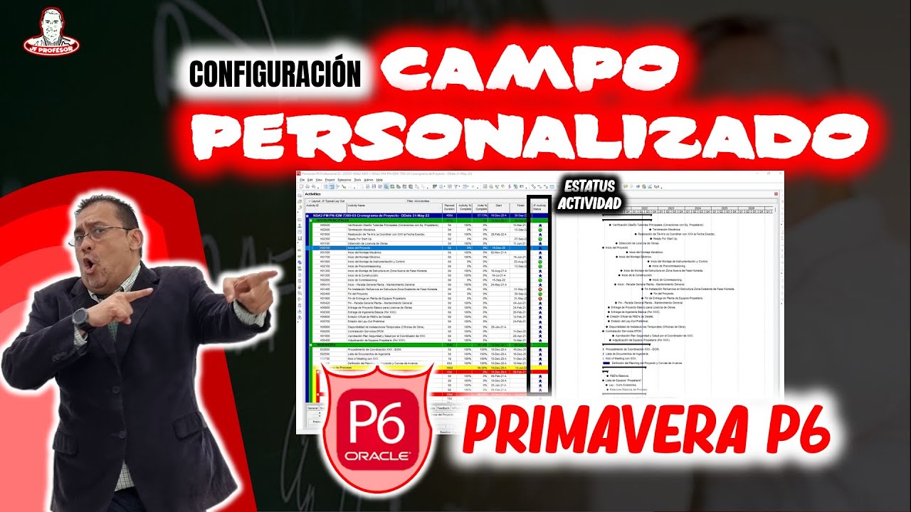 🚀 Configurar Campo Personalizado: Estatus Actividad en PRIMAVERA P6