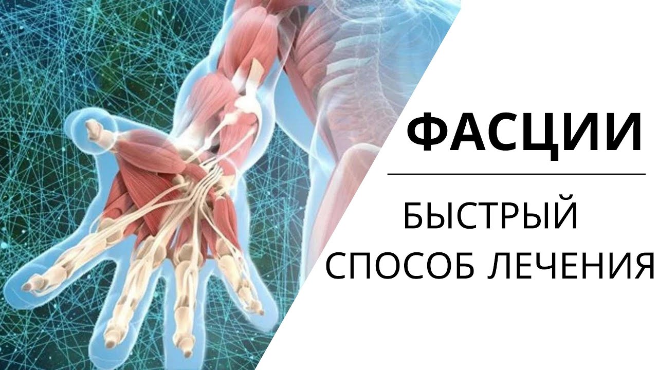 ФАСЦИИ | РАБОТА с фасциями тела
