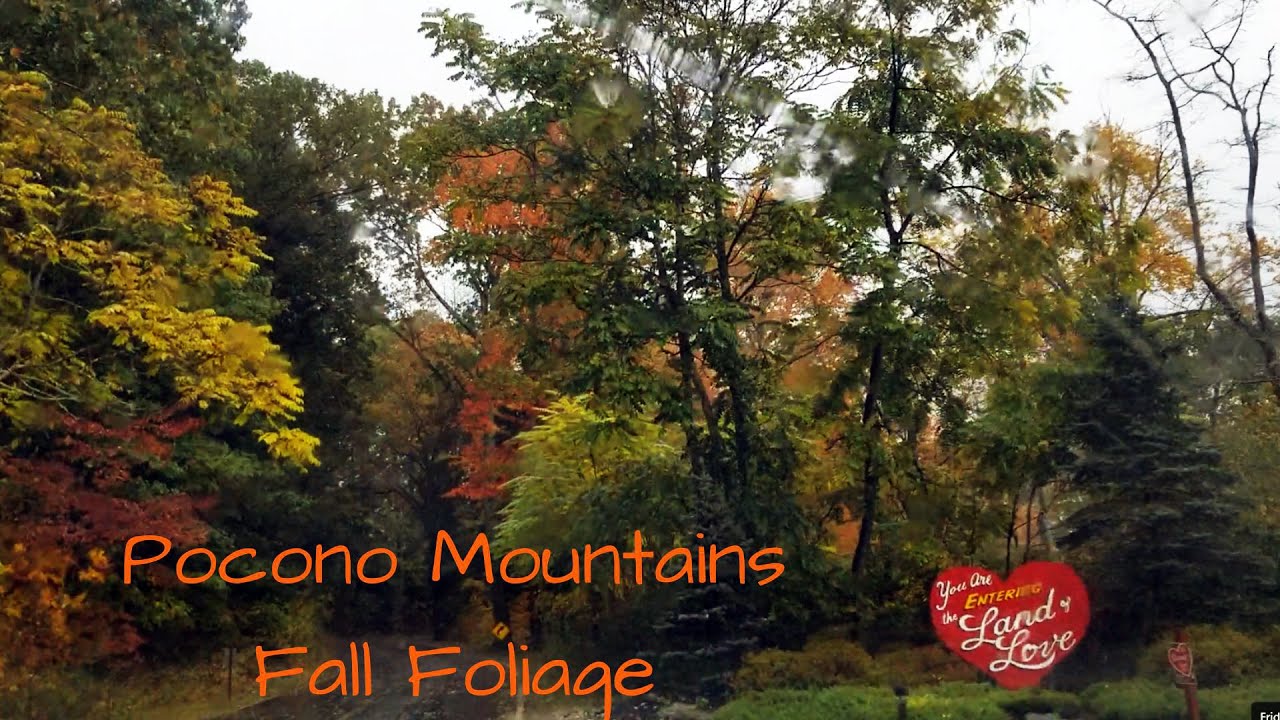 Driving Through the Poconos Mountains in the Rain - Peak Fall Foliage Season