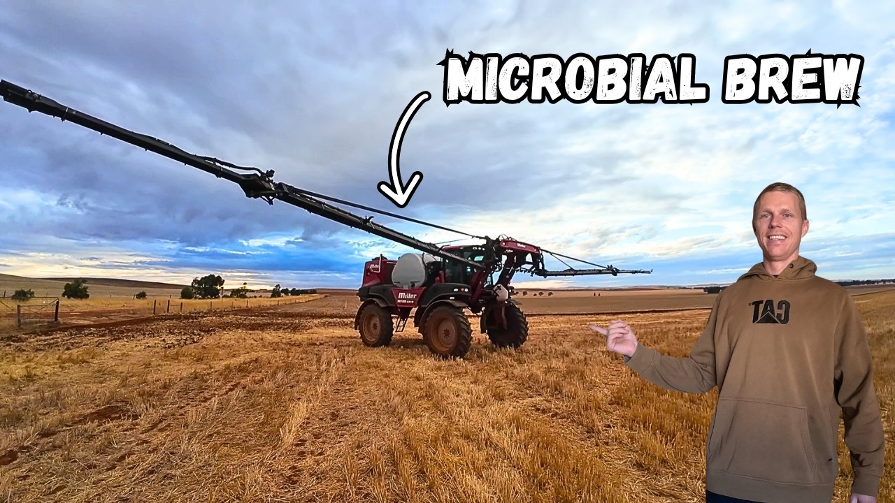 Summer Rains Are Coming | Stubble Digest Time | Lets Get Prepared