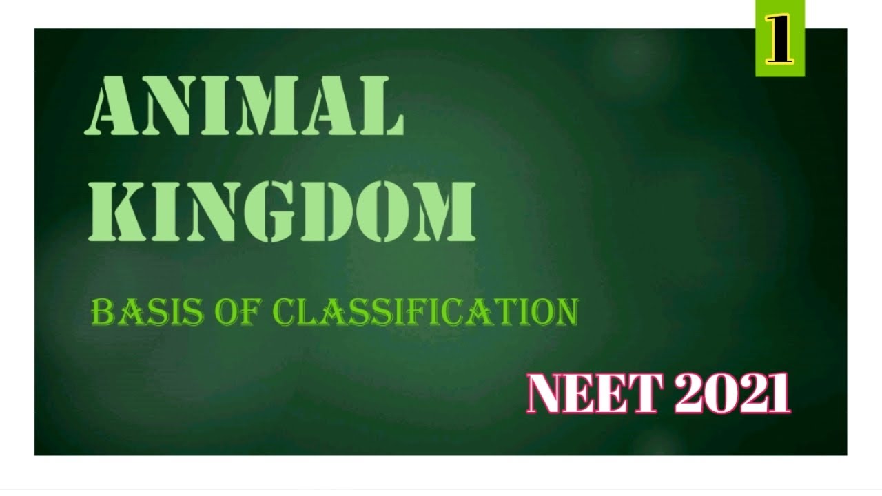 Animal Kingdom | Basic of  Classification | NEET ZOOLOGY | NEET 2021 | Biology Blog