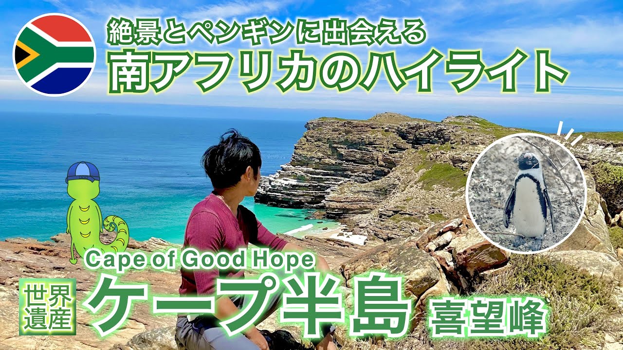【南アフリカ🇿🇦ケープ半島】喜望峰！絶景とペンギンに出会える訪問必須スポット[アクセス]