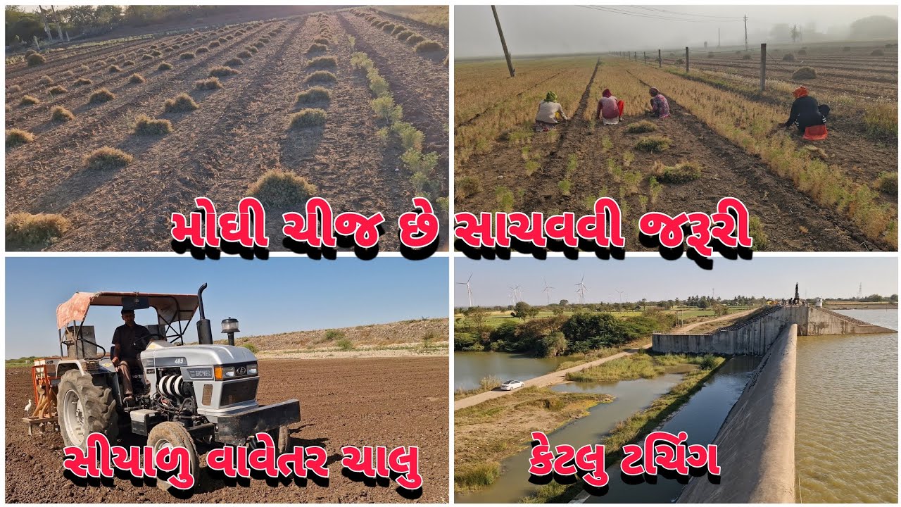 મોઘી ચીજ નુ ધ્યાન રાખવુ જોઇએ ને ડેમ નુ કામ જોરદાર ચાલુ ||#mrdevatahir 