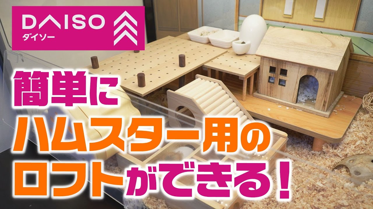 【100均】簡単DIYでハムスター用のロフトができる！～You can create a loft for your hamster with an easy DIY!