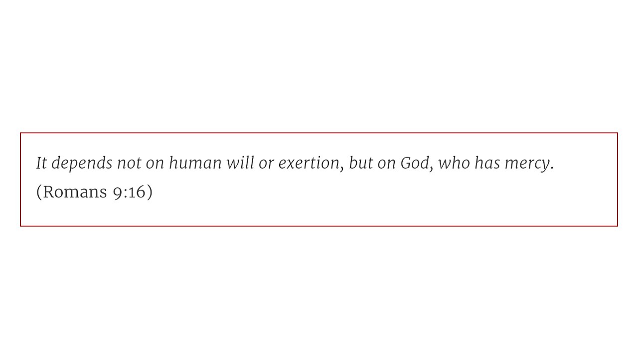 Solid Joys (January 3): The Smallest Faith // Devotional by John Piper