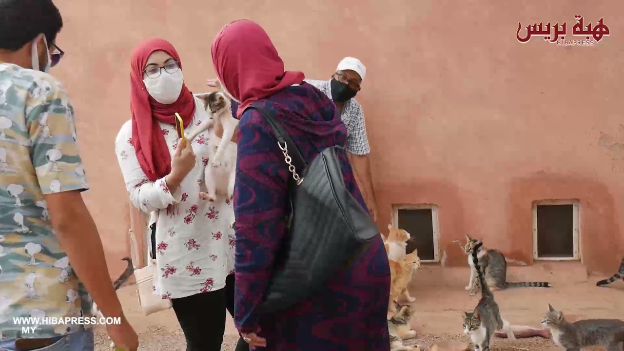 من قلب جمعية إنقاد الحيوانات 