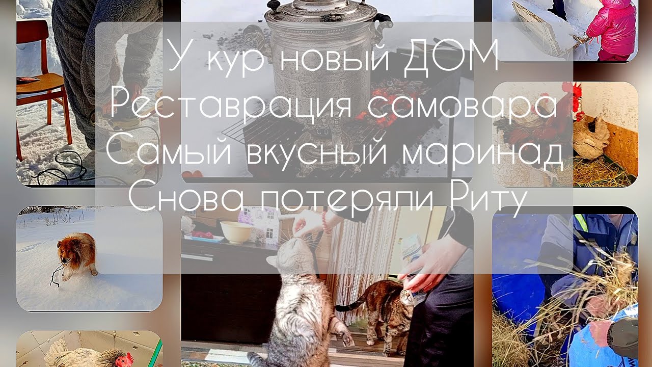 Живем в деревне/С 8 марта/Куры переехали/Реставрируем самовар на углях/Вкусный маринад/Рита пропала