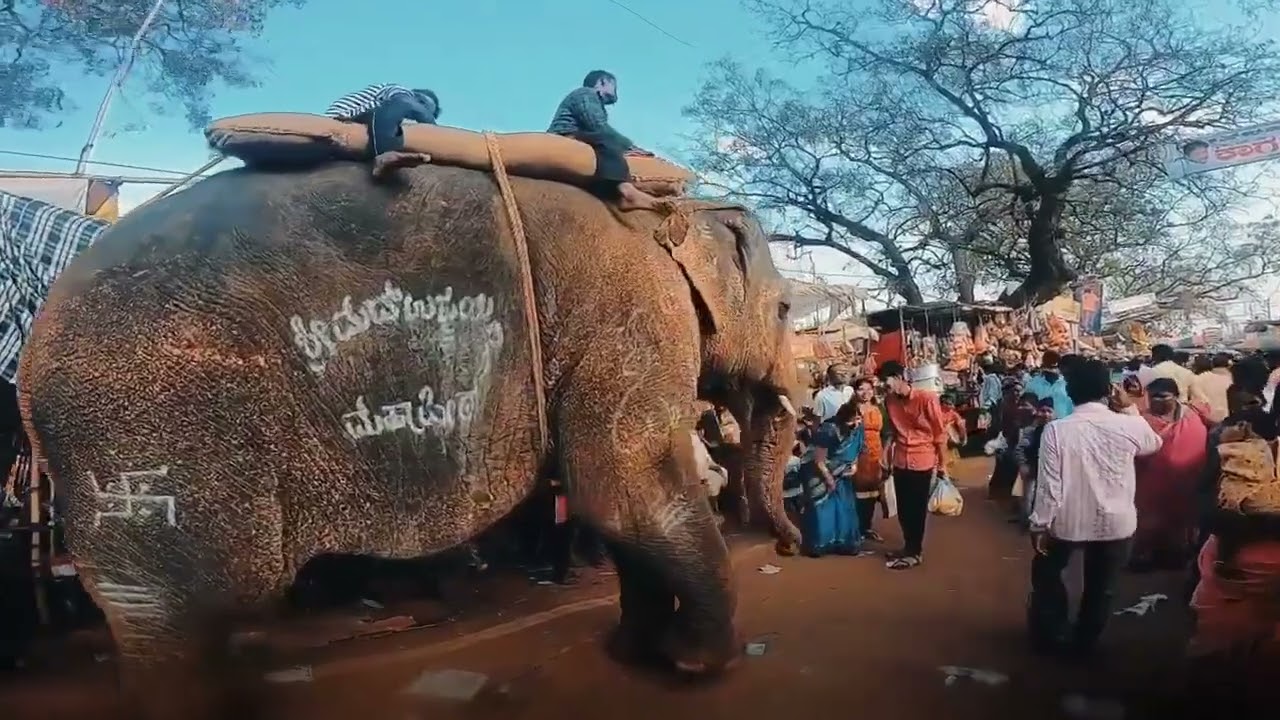 Temples of Karnataka | All Karnataka Trip   Pilgrimage Places | ALL KRNATAKA TEMPLES IN ONE VIDEO