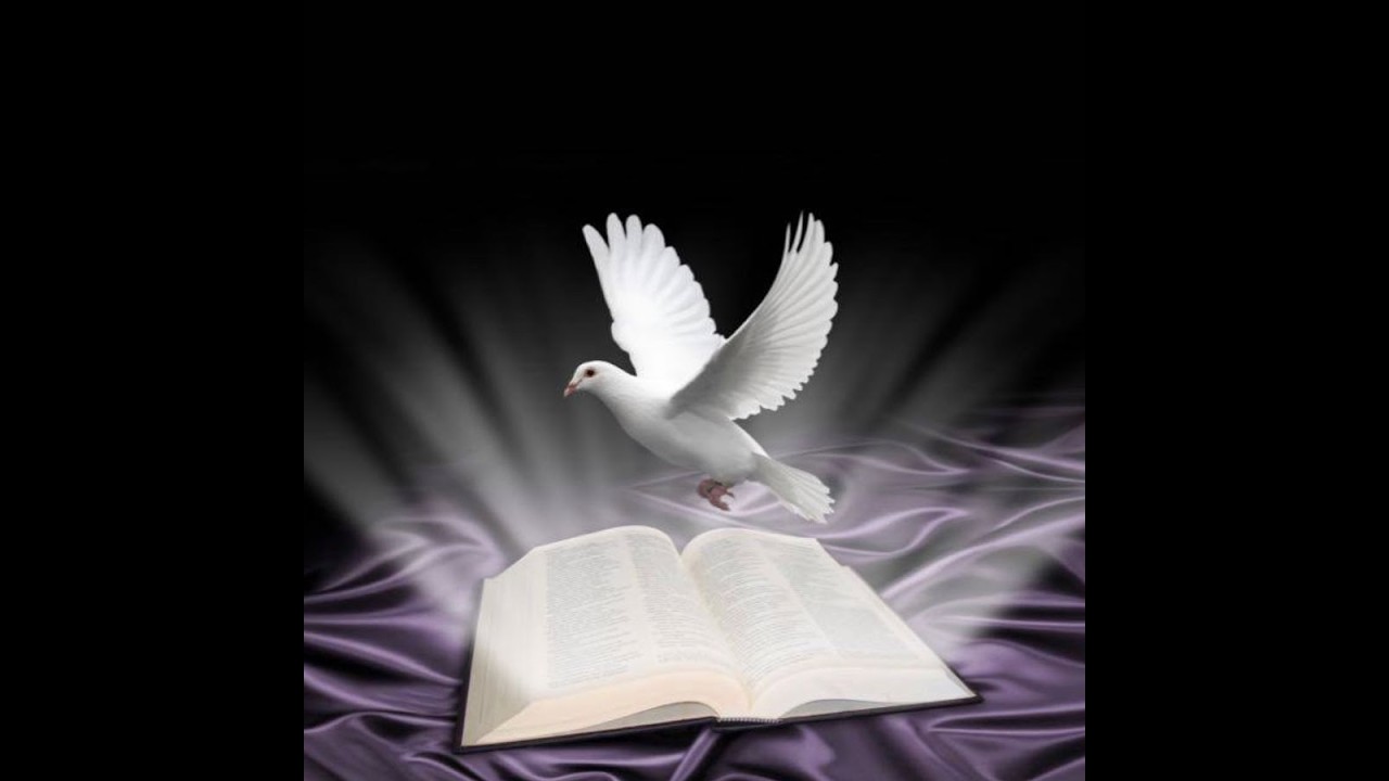 LIVE: PASTOR: Lucian VECERDEA  