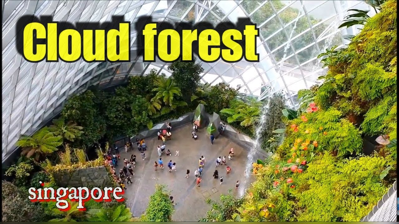 Inside Cloud Forest @ Gardens by the bay | Singapore Travel Guide|
