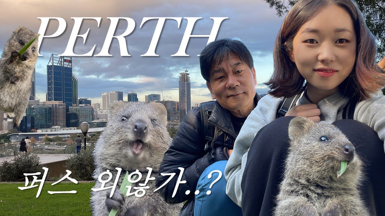[아빠랑 해외여행] #12 쿼카 폼 미쳤다 🇦🇺 2.3초 겨울 퍼스여행