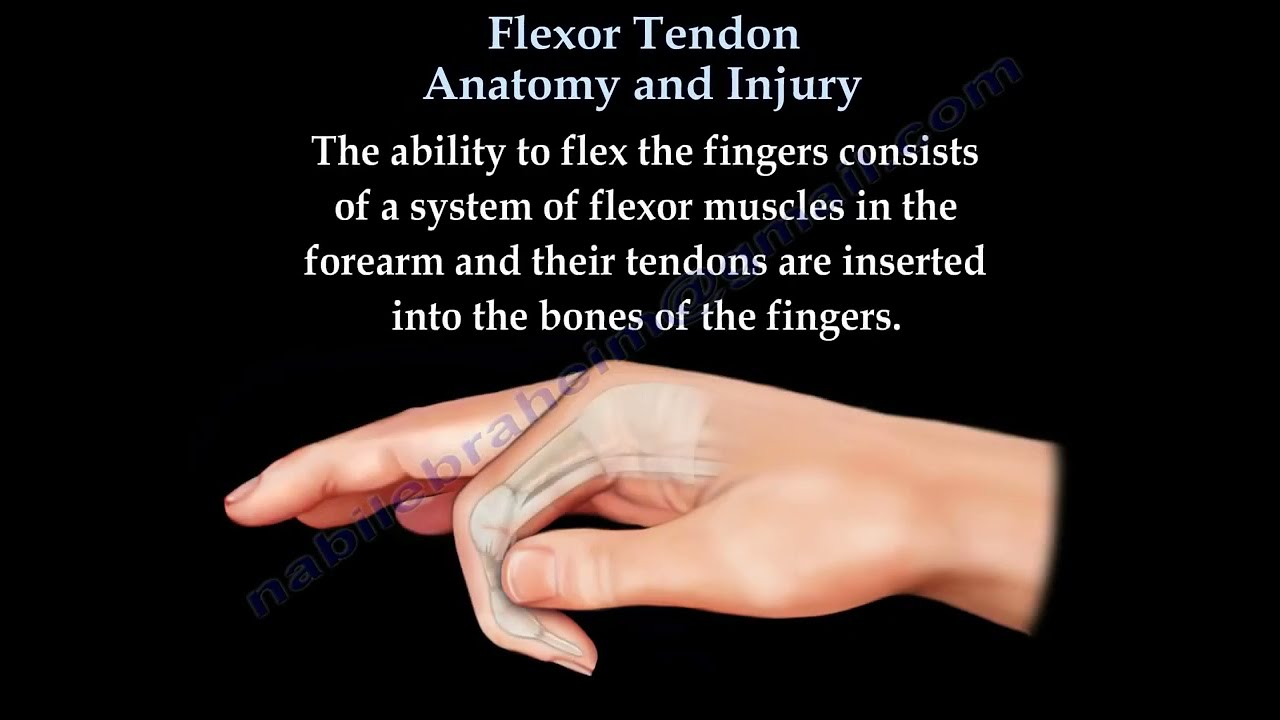 Flexor Tendon Injuries, diagnosis and treatment-
