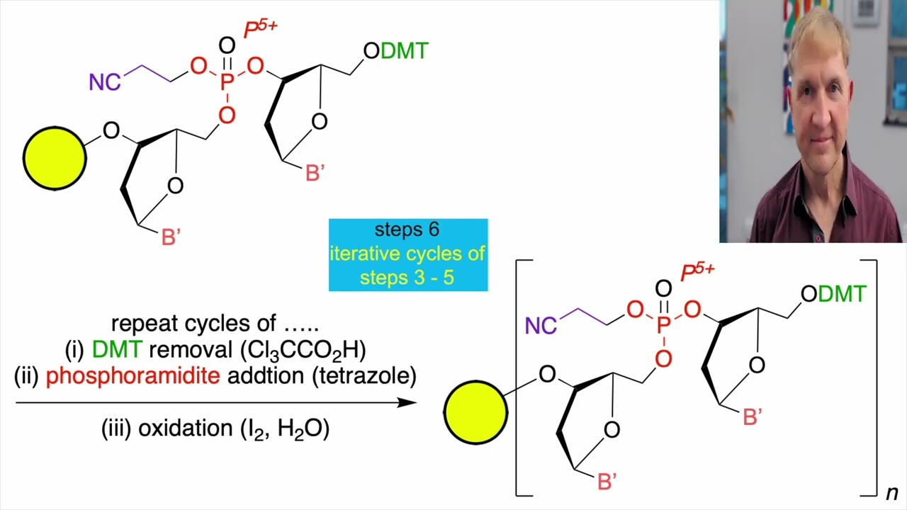 Chemical Synthesis of DNA: a study in protecting groups