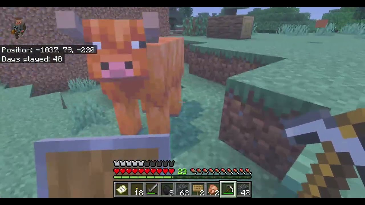 My Minecraft Journey Part 9