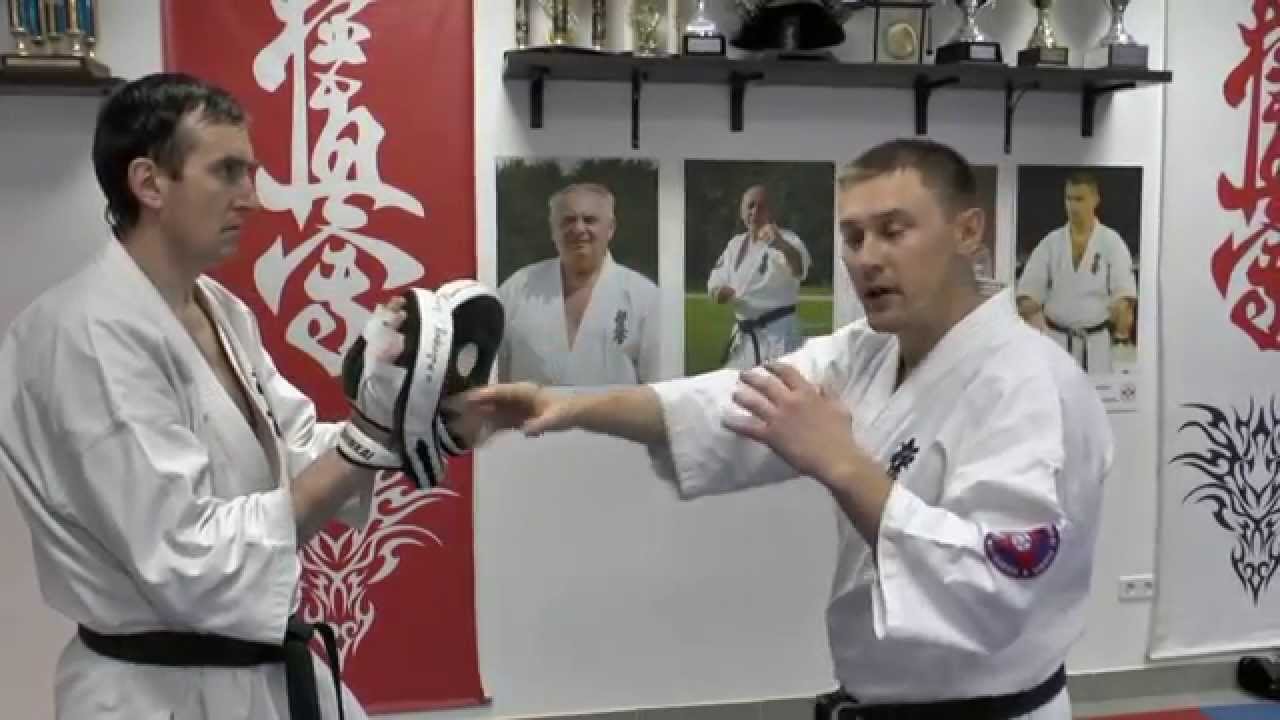 WFKO. Straight punches - kumite Shihan Alexei Gorokhov. Lesson 6