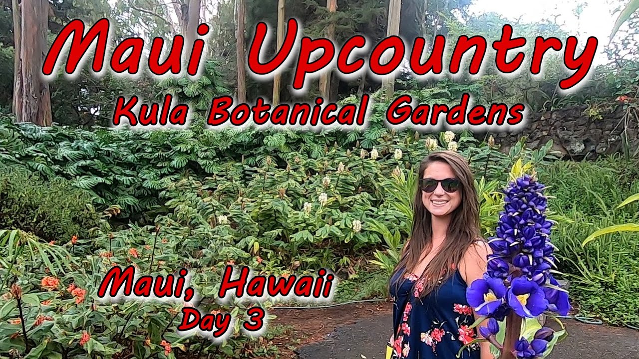 Kula Botanical Gardens - Maui, Hawaii Vacation Day 3